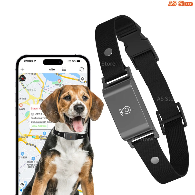Localizador GPS Inalámbrico para Perros